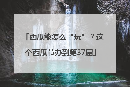 西瓜能怎么“玩”？这个西瓜节办到第37届