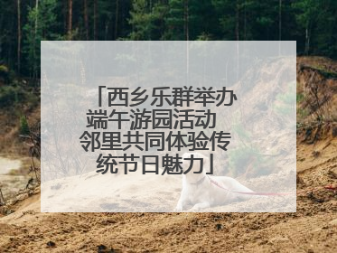 西乡乐群举办端午游园活动 邻里共同体验传统节日魅力