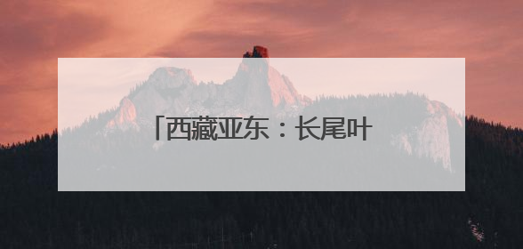 西藏亚东：长尾叶猴下山“会客”