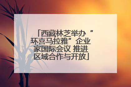 西藏林芝举办“环喜马拉雅”企业家国际会议 推进区域合作与开放