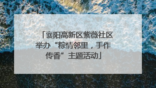 襄阳高新区紫薇社区举办“粽情邻里，手作传香”主题活动