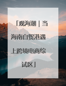 观海潮｜当海南自贸港遇上跨境电商综试区