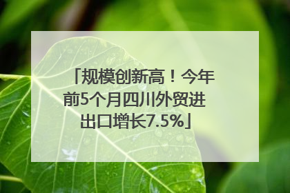 规模创新高！今年前5个月四川外贸进出口增长7.5%