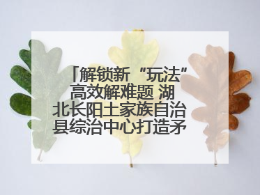 解锁新“玩法” 高效解难题 湖北长阳土家族自治县综治中心打造矛盾纠纷调处“终点站”