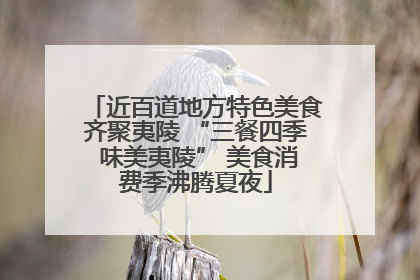 近百道地方特色美食齐聚夷陵 “三餐四季 味美夷陵” 美食消费季沸腾夏夜