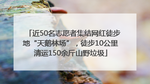 近50名志愿者集结网红徒步地“天鹅林场”，徒步10公里清运150余斤山野垃圾