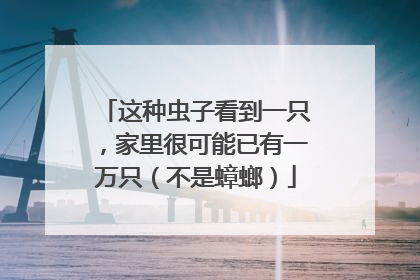 这种虫子看到一只，家里很可能已有一万只（不是蟑螂）