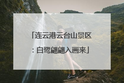 连云港云台山景区：白鹭翩翩入画来