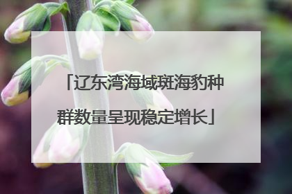 辽东湾海域斑海豹种群数量呈现稳定增长