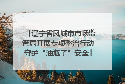 辽宁省凤城市市场监管局开展专项整治行动守护“油瓶子”安全