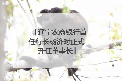辽宁农商银行首任行长杨济时正式升任董事长
