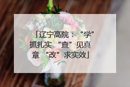 辽宁高院：“学”抓扎实 “查”见真章 “改”求实效