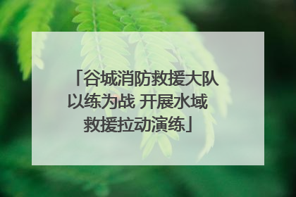 谷城消防救援大队以练为战 开展水域救援拉动演练