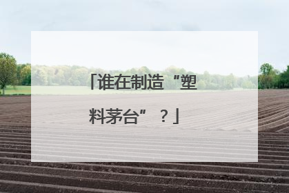 谁在制造“塑料茅台”？
