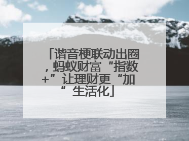谐音梗联动出圈，蚂蚁财富“指数+”让理财更“加”生活化