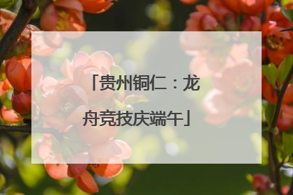 贵州铜仁：龙舟竞技庆端午