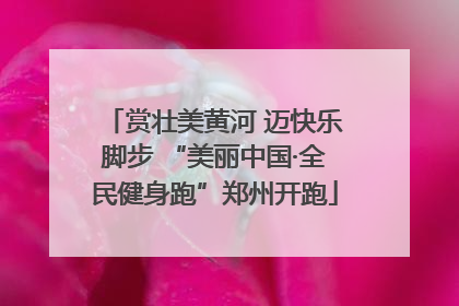 赏壮美黄河 迈快乐脚步 “美丽中国·全民健身跑”郑州开跑