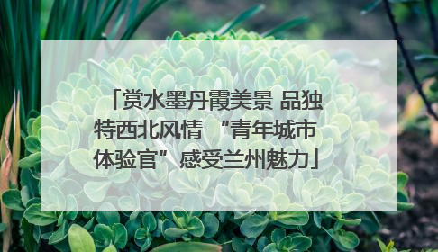 赏水墨丹霞美景 品独特西北风情 “青年城市体验官”感受兰州魅力
