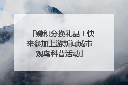 赚积分换礼品！快来参加上游新闻城市观鸟科普活动