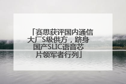 赛思获评国内通信大厂S级供方，跻身国产SLIC语音芯片领军者行列