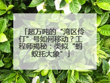 超万吨的“湾区伶仃”号如何移动？工程师揭秘：类似“蚂蚁托大象”