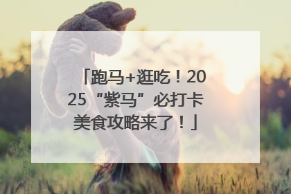 跑马+逛吃！2025“紫马”必打卡美食攻略来了！