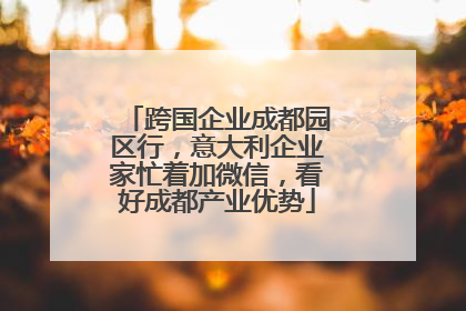 跨国企业成都园区行，意大利企业家忙着加微信，看好成都产业优势
