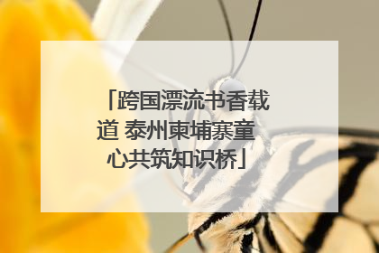 跨国漂流书香载道 泰州柬埔寨童心共筑知识桥
