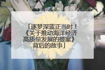 逐梦深蓝正当时！《关于推动海洋经济高质量发展的提案》背后的故事
