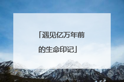遇见亿万年前的生命印记
