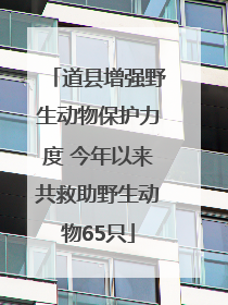道县增强野生动物保护力度 今年以来共救助野生动物65只