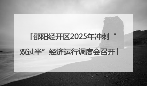 邵阳经开区2025年冲刺“双过半”经济运行调度会召开