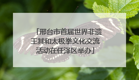邢台市首届世界非遗王其和太极拳文化交流活动在任泽区举办