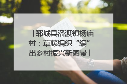 郓城县潘渡镇杨庙村：草藤编织“编”出乡村振兴新图景
