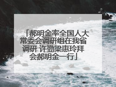 郝明金率全国人大常委会调研组在我省调研 许勤梁惠玲拜会郝明金一行