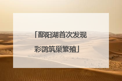 鄱阳湖首次发现彩鹮筑巢繁殖