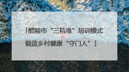 醴陵市“三精准”培训模式锻造乡村健康“守门人”