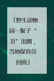 野生动物园一猴子“丑”出圈，当地保育员回应