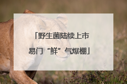 野生菌陆续上市 易门“鲜”气爆棚