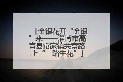 金银花开“金银”来——淄博市高青县常家镇共富路上“一路生花”