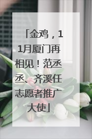 金鸡，11月厦门再相见！范丞丞、齐溪任志愿者推广大使
