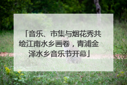 音乐、市集与烟花秀共绘江南水乡画卷，青浦金泽水乡音乐节开幕