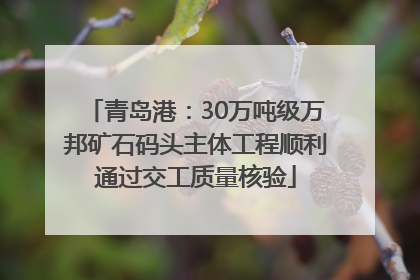 青岛港：30万吨级万邦矿石码头主体工程顺利通过交工质量核验