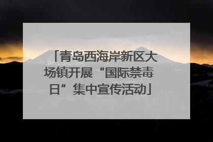 青岛西海岸新区大场镇开展“国际禁毒日”集中宣传活动