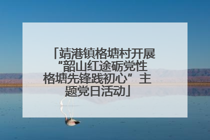 靖港镇格塘村开展“韶山红途砺党性 格塘先锋践初心”主题党日活动