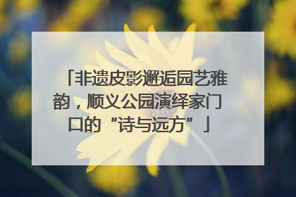 非遗皮影邂逅园艺雅韵，顺义公园演绎家门口的“诗与远方”