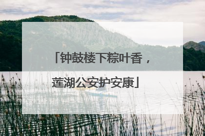 钟鼓楼下粽叶香，莲湖公安护安康