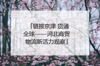 链接京津 货通全球——河北商贸物流新活力观察