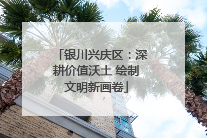 银川兴庆区：深耕价值沃土 绘制文明新画卷