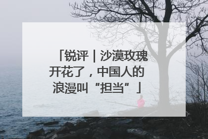 锐评｜沙漠玫瑰开花了，中国人的浪漫叫“担当”